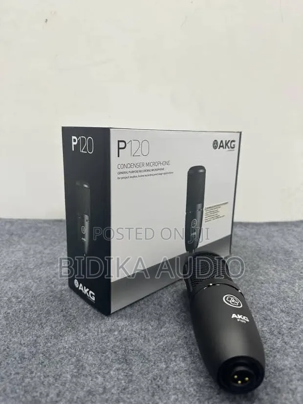 AKG P120 High-Performance Condenser Microphone (XLR) - 1