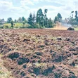 1/2 Acre Residential Land for Sale in Muguga, Kikuyu - 1