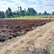 1/2 Acre Residential Land for Sale in Muguga, Kikuyu - 2
