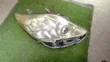 Toyota Alphard Headlights (2008) - 4