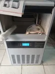 AfriSteel Commercial Ice Maker 40kg/24hr - 2