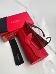 Cartier Rimless Shield Sunglasses - 1