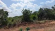 Industrial Land for Sale, Manda Island - 2