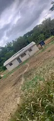 12 Acre Agricultural Farm for Sale | Msambweni, Kwale - 4