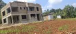 50x100 Plot for Sale - Kikuyu Migumoini - 1