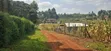50x100 Plot for Sale - Kikuyu Migumoini - 2
