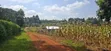 50x100 Plot for Sale - Kikuyu Migumoini - 3