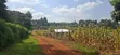 50x100 Plot for Sale - Kikuyu Migumoini - 5