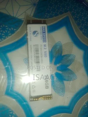 Max Speed 256GB M.2 SATA SSD