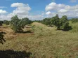 30 Acre Avocado Farm for Sale - Salaita, Taveta - 1