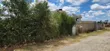 1/4 Acre Residential Plot for Sale in Kitengela - 2