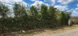 1/4 Acre Residential Plot for Sale in Kitengela - 3