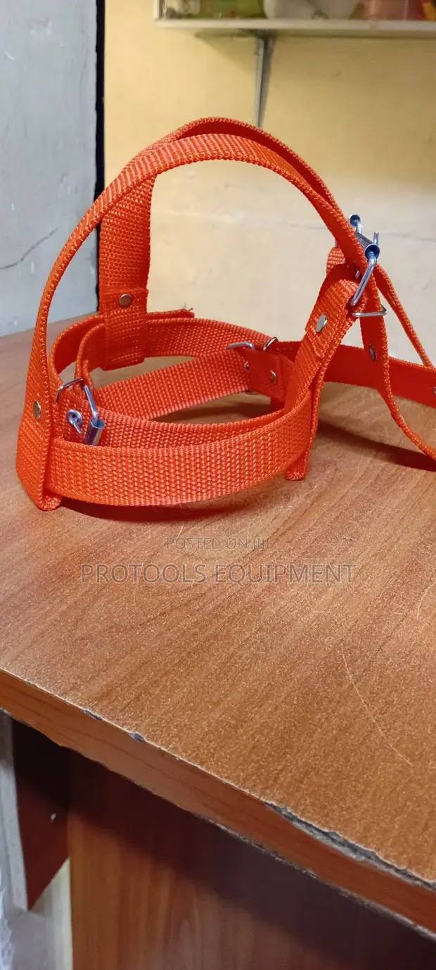 Orange Climbers Strap - 1