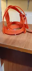 Orange Climbers Strap - 2