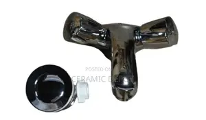 Euro Deluxe Basin Mixer with Push-Up Waste RV4006