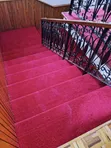 Quality Delta Wall-to-Wall Carpet - 2