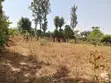 Prime Residential Plot for Sale in Thome Estate - 3