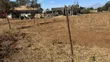 Plot for Sale in Kimana, Loitoktok - 3