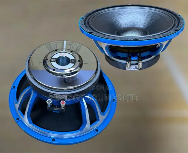 Derwel 12DE600 600W 12-Inch PA Speaker - 1