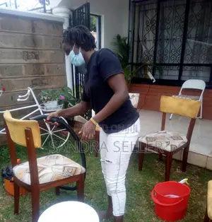 Professional Seat Cleaning Services