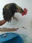 Jike Safi la Kienyeji - 2