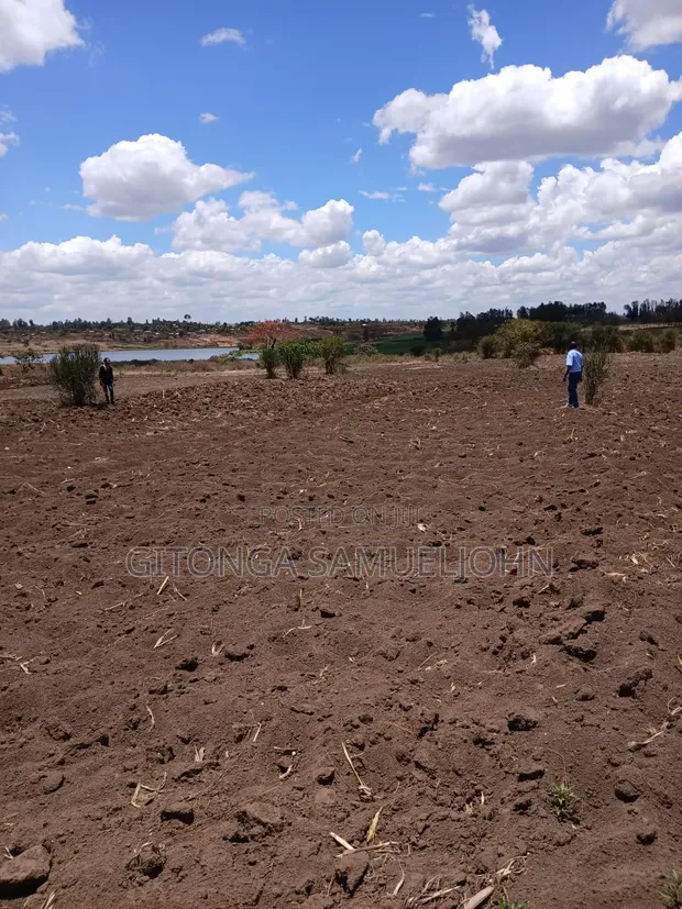 Alpha New Kabati Plots, 1/8 Acre - 1