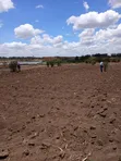 Alpha New Kabati Plots, 1/8 Acre - 1