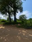 Prime Plot for Sale in Diani, Kinondo - 2
