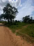 Prime Plot for Sale in Diani, Kinondo - 5