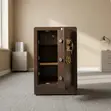 Fireproof Biometric Office Safe - 80kg - 4
