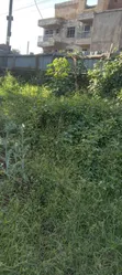 Prime Commercial Land for Sale in Ndenderu - 1