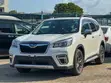 Subaru Forester 2019 Pearl - 3