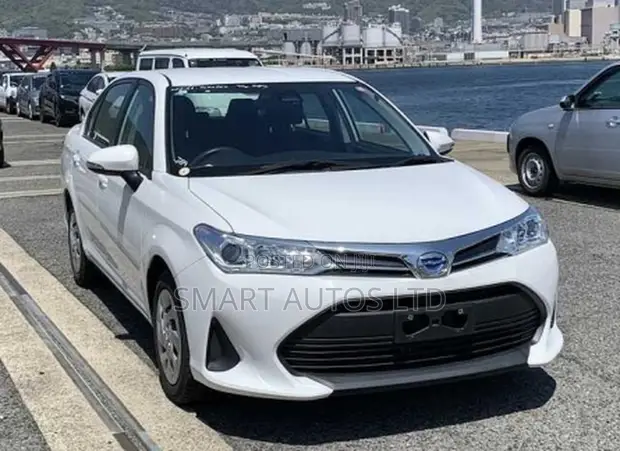 Toyota Axio Hybrid 2021 - 1