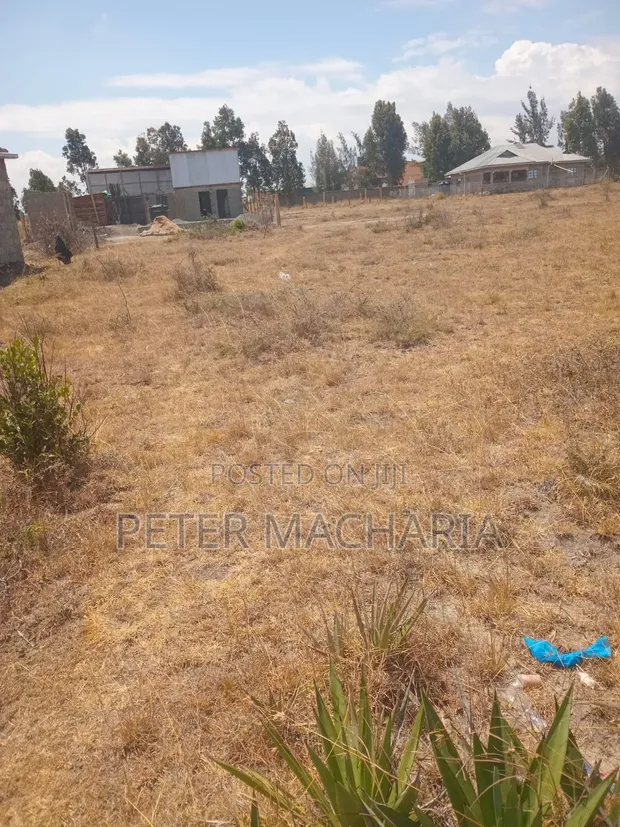 1 Acre Land for Sale in Nanyuki - 1