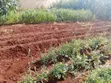 1 Acre Land for Sale in Nanyuki - 4