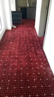 High Density 12mm Maroon Dotted Carpet - 2