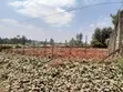 3/4 Acre Plot for Sale in Thindigua, Kiambu Road - 1