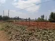 3/4 Acre Plot for Sale in Thindigua, Kiambu Road - 2