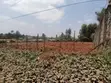 3/4 Acre Plot for Sale in Thindigua, Kiambu Road - 4