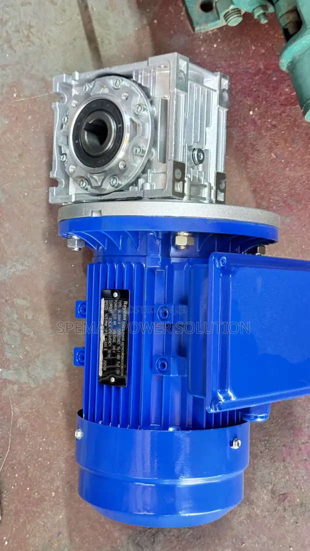 Raydan Gear Motor 0.75HP (0.55kW) with Worm Gearbox - 1