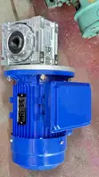 Raydan Gear Motor 0.75HP (0.55kW) with Worm Gearbox - 2