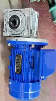 Raydan Gear Motor 0.75HP (0.55kW) with Worm Gearbox - 3