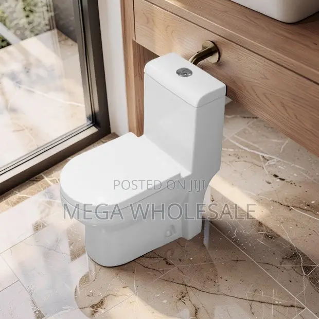 Sawa One Piece Dual Flush Toilet Seat - 1