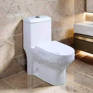Sawa One Piece Dual Flush Toilet Seat