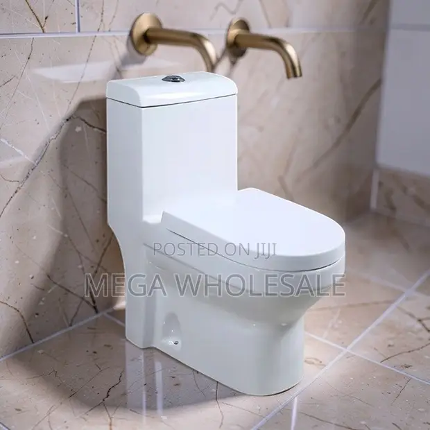 Sawa One Piece Dual Flush Toilet Seat - 1
