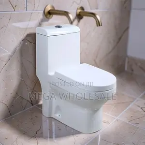 Sawa One Piece Dual Flush Toilet Seat