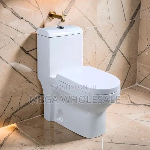 Sawa One Piece Dual Flush Toilet Seat - 1