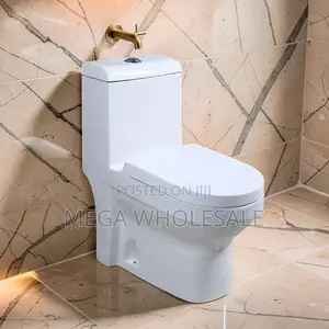 Sawa One Piece Dual Flush Toilet Seat