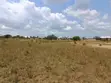 1/8 Acre Plot for Sale in Nyeri Kamuyu Village - 2