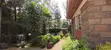 3-Bedroom Bungalow for Sale in Dagoretti Corner - 5